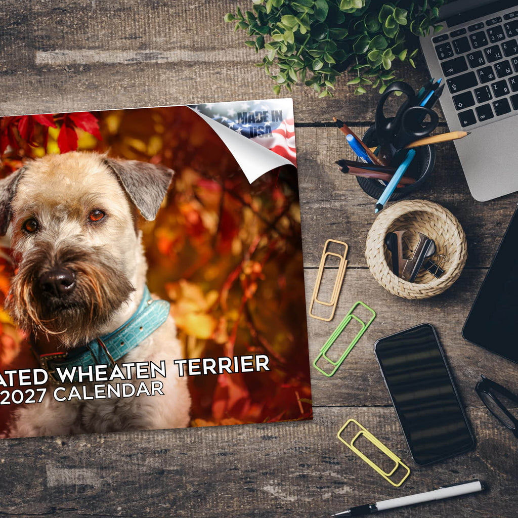 Soft Coated Wheaten Terrier Wall Calendar 2027 - 12" x 9" 14-Month Dog Breed