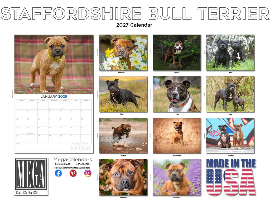 Staffordshire Bull Terrier Wall Calendar 2027 - 12" x 9" 14-Month Dog Breed Calendar