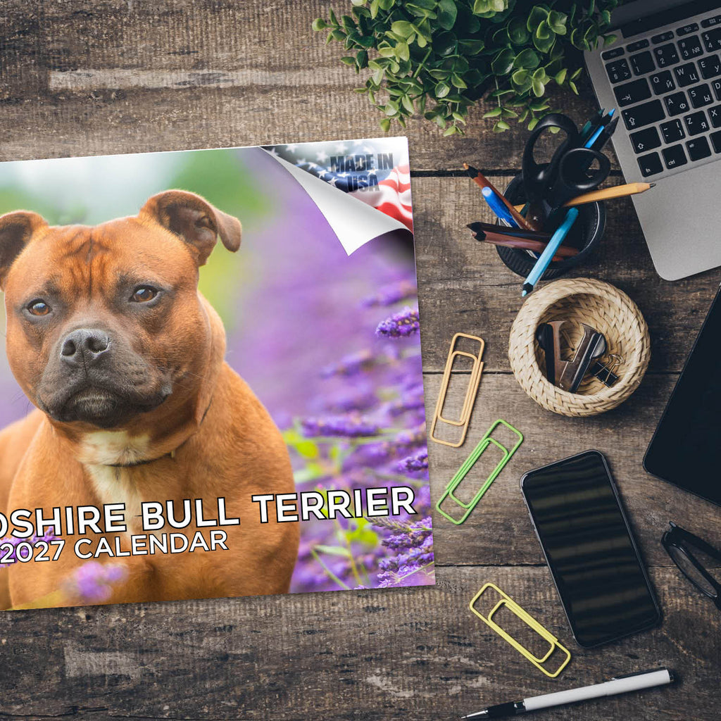 Staffordshire Bull Terrier Wall Calendar 2027 - 12" x 9" 14-Month Dog Breed Calendar
