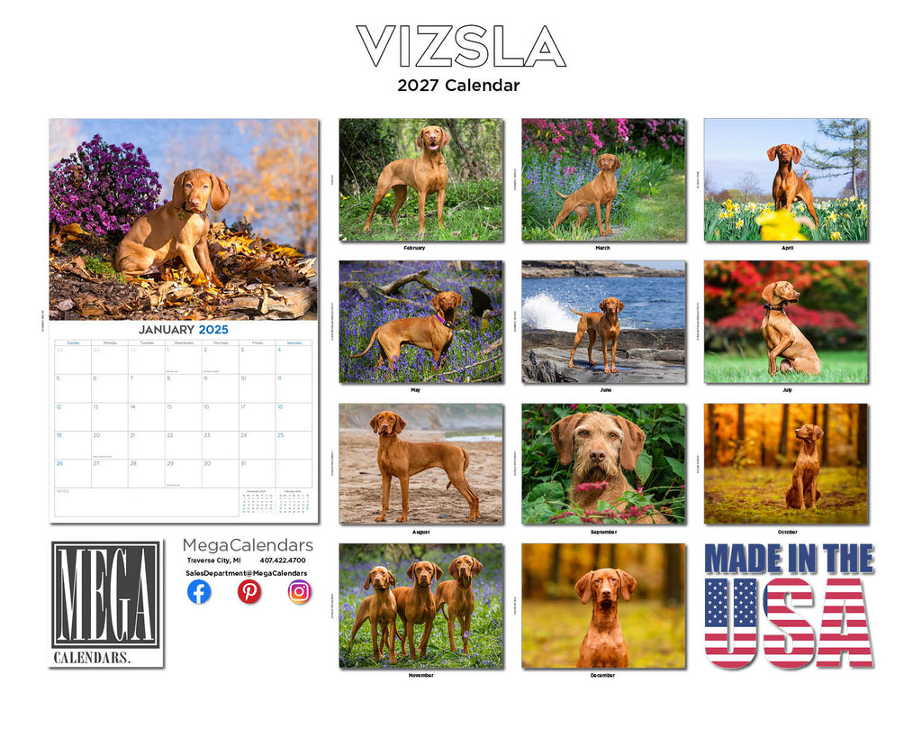 Vizsla Wall Calendar 2027 - 12" x 9" 14-Month Dog Breed Calendar