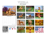 Vizsla Wall Calendar 2027 - 12" x 9" 14-Month Dog Breed Calendar