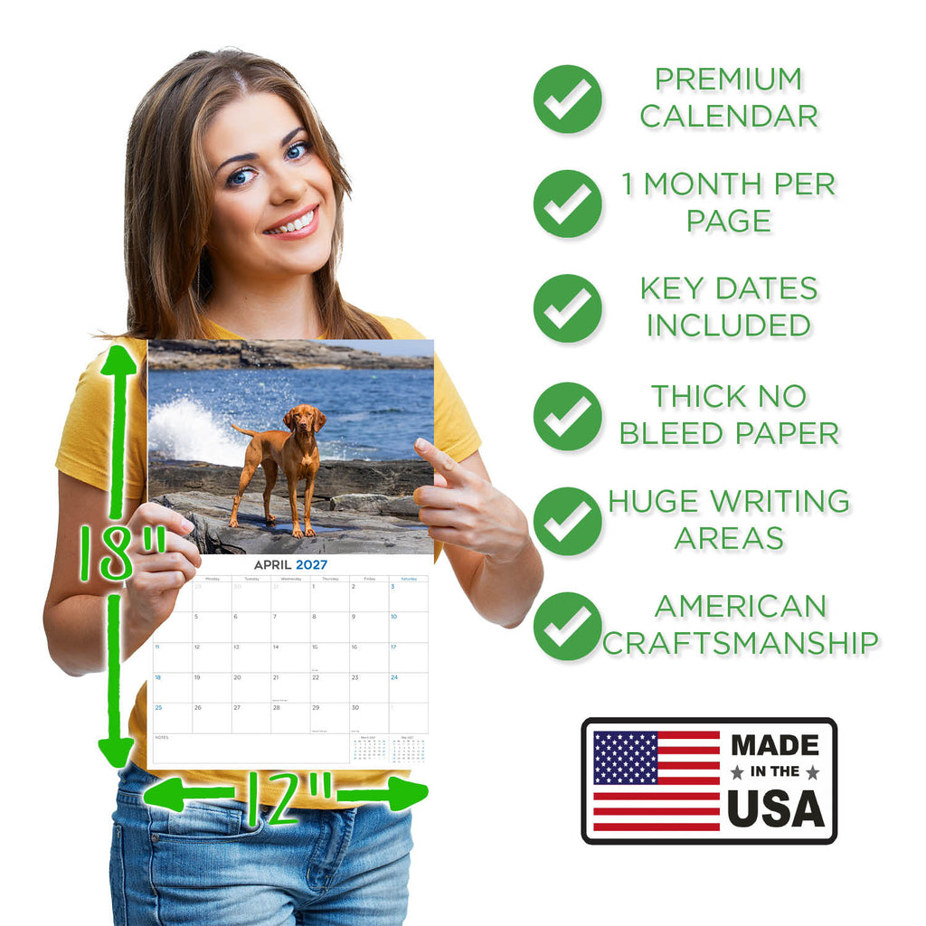 Vizsla Wall Calendar 2027 - 12" x 9" 14-Month Dog Breed Calendar