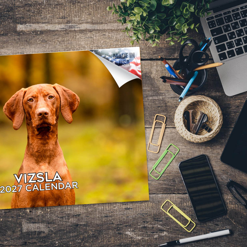 Vizsla Wall Calendar 2027 - 12" x 9" 14-Month Dog Breed Calendar