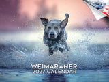 Weimaraner Wall Calendar 2027 - 12" x 9" 14-Month Dog Breed Calendar