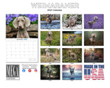 Weimaraner Wall Calendar 2027 - 12" x 9" 14-Month Dog Breed Calendar