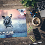 Weimaraner Wall Calendar 2027 - 12" x 9" 14-Month Dog Breed Calendar