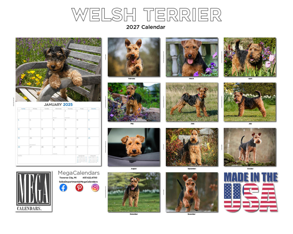 Welsh Terrier Wall Calendar 2027 - 12" x 9" 14-Month Dog Breed Calendar