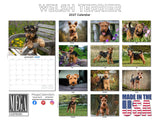 Welsh Terrier Wall Calendar 2027 - 12" x 9" 14-Month Dog Breed Calendar