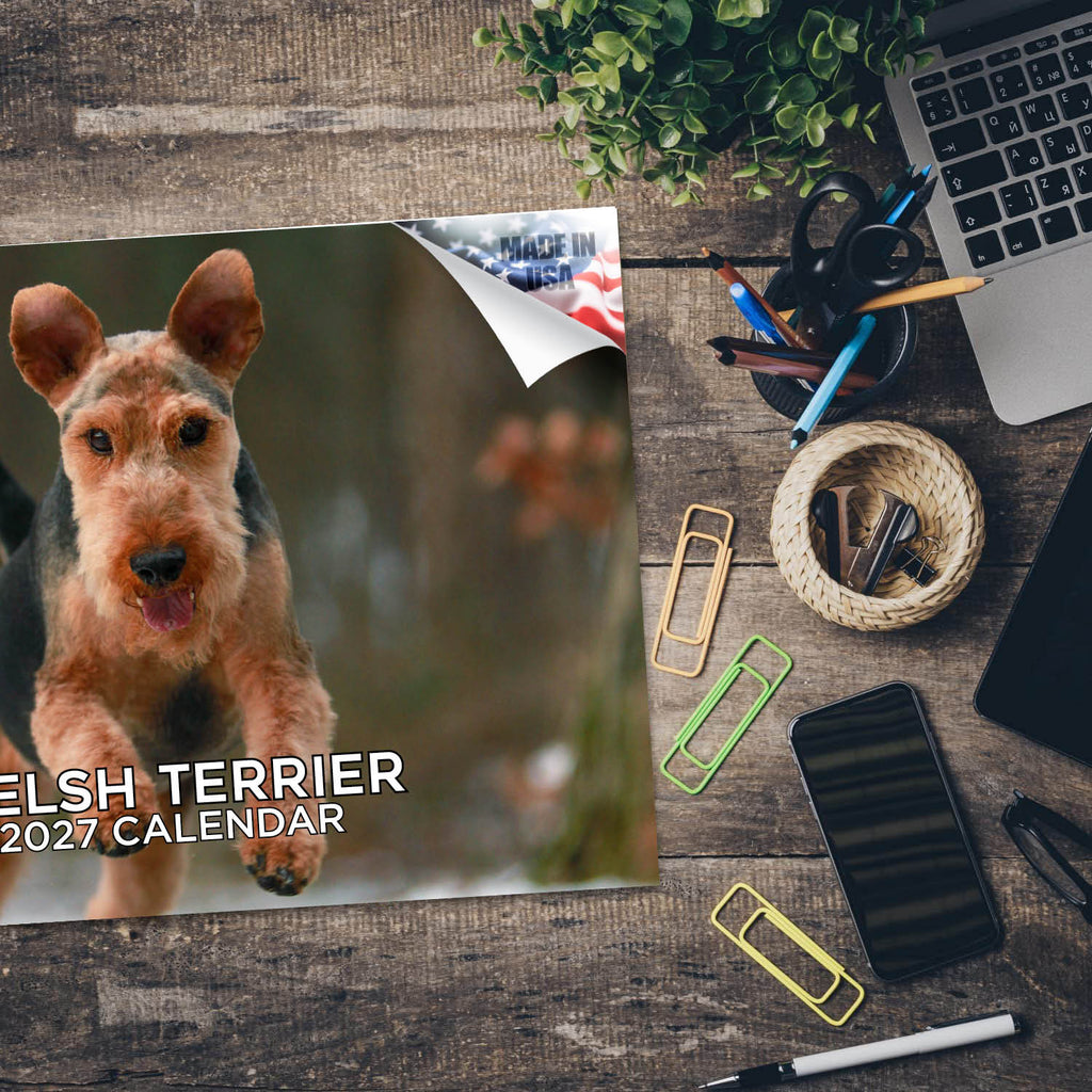 Welsh Terrier Wall Calendar 2027 - 12" x 9" 14-Month Dog Breed Calendar