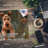 Welsh Terrier Wall Calendar 2027 - 12" x 9" 14-Month Dog Breed Calendar