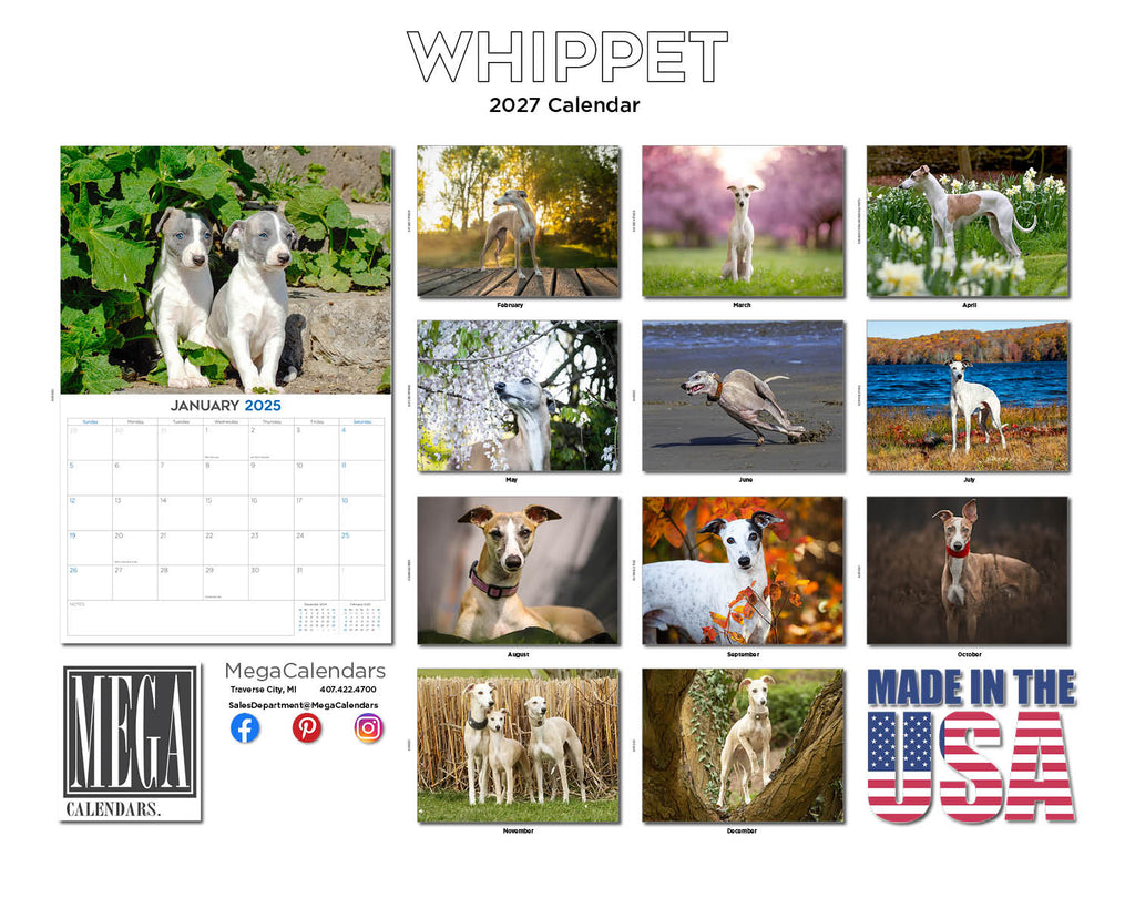 Whippet Wall Calendar 2027 - 12" x 9" 14-Month Dog Breed Calendar