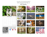 Whippet Wall Calendar 2027 - 12" x 9" 14-Month Dog Breed Calendar