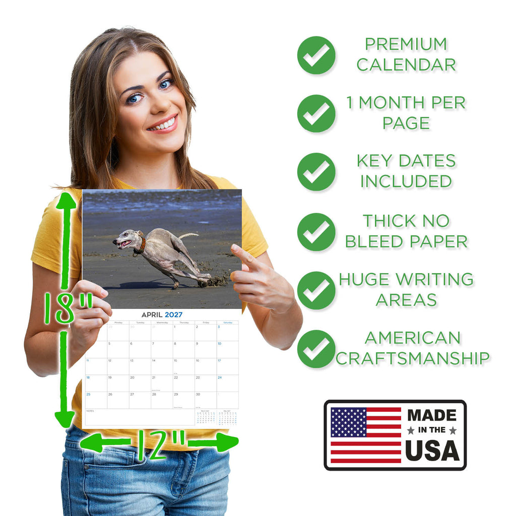 Whippet Wall Calendar 2027 - 12" x 9" 14-Month Dog Breed Calendar