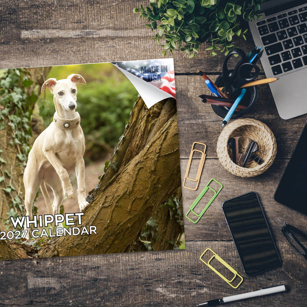 Whippet Wall Calendar 2027 - 12" x 9" 14-Month Dog Breed Calendar