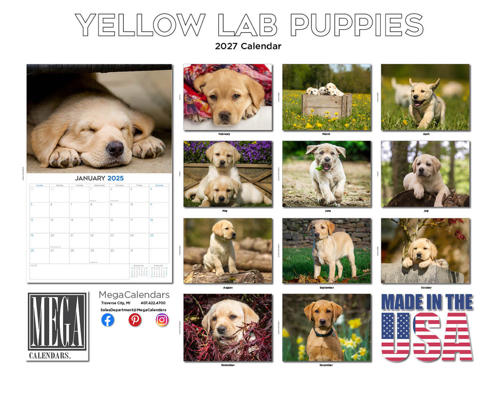 Yellow Labrador Puppies Wall Calendar 2027 - 12" x 9" 14-Month Dog Breed Calendar