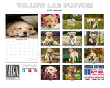 Yellow Labrador Puppies Wall Calendar 2027 - 12" x 9" 14-Month Dog Breed Calendar