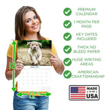 Yellow Labrador Puppies Wall Calendar 2027 - 12" x 9" 14-Month Dog Breed Calendar