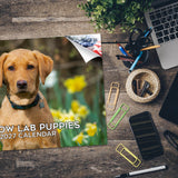 Yellow Labrador Puppies Wall Calendar 2027 - 12" x 9" 14-Month Dog Breed Calendar