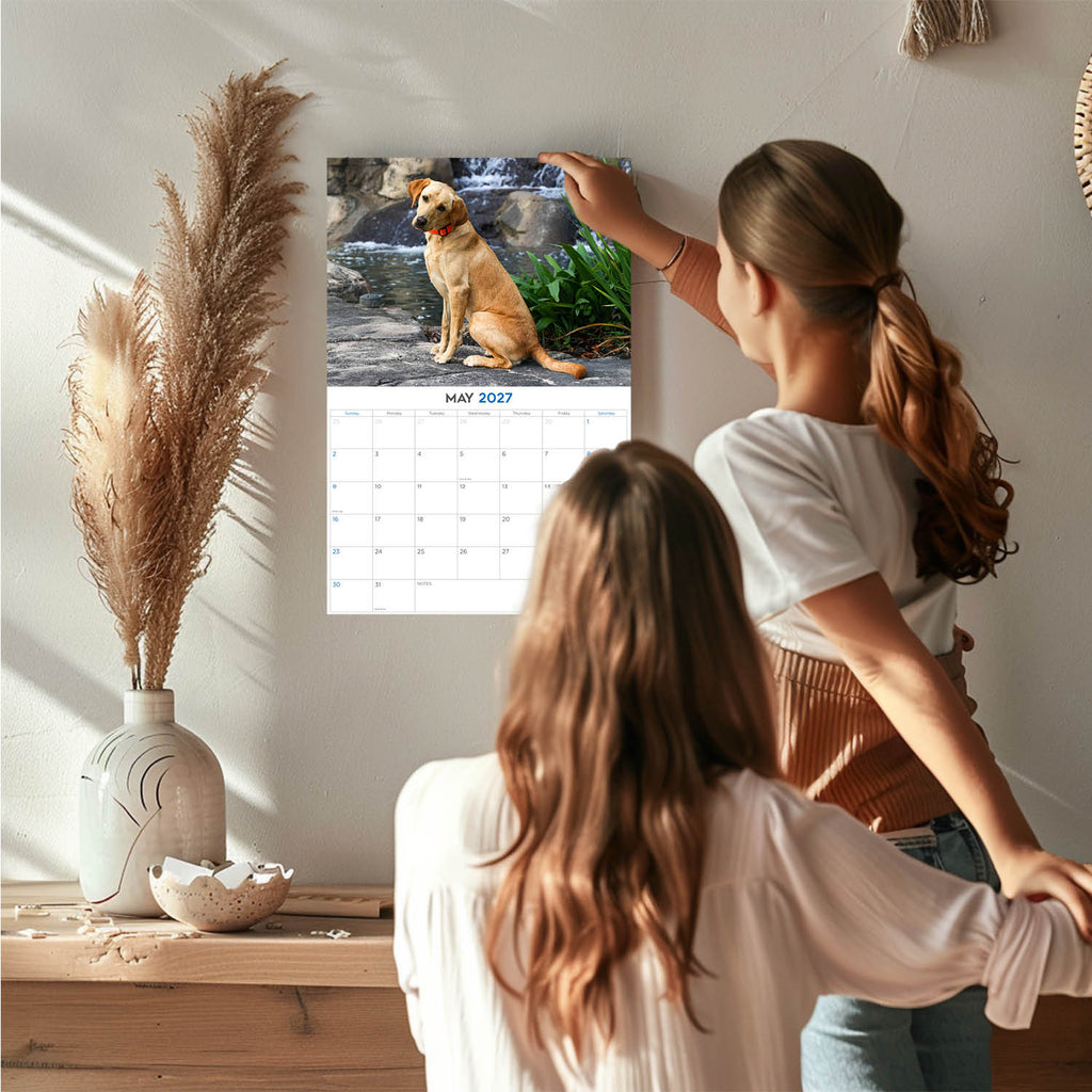 Yellow Labrador Wall Calendar 2027 - 12" x 9" 14-Month Dog Breed Calendar