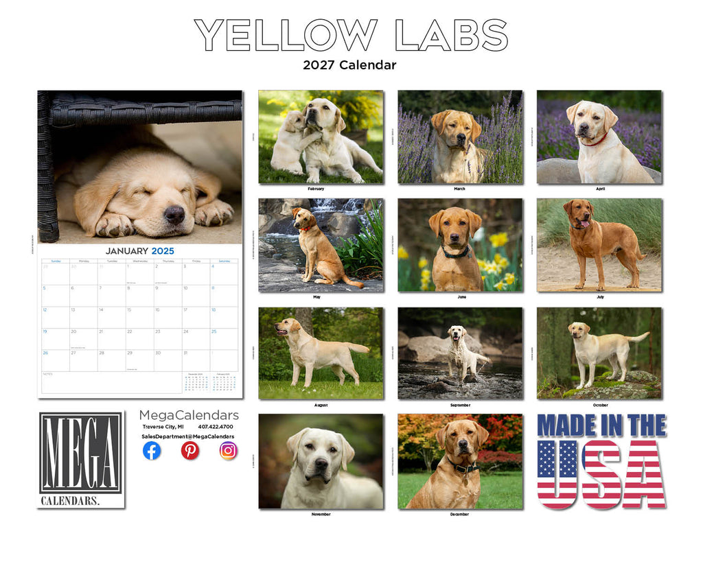 Yellow Labrador Wall Calendar 2027 - 12" x 9" 14-Month Dog Breed Calendar