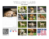 Yellow Labrador Wall Calendar 2027 - 12" x 9" 14-Month Dog Breed Calendar