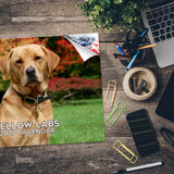 Yellow Labrador Wall Calendar 2027 - 12" x 9" 14-Month Dog Breed Calendar