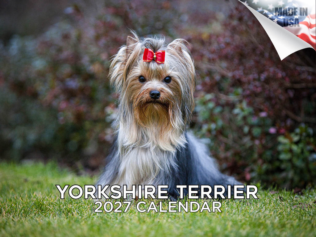 Yorkshire Terrier Wall Calendar 2027 - 12" x 9" 14-Month Dog Breed Calendar