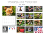 Yorkshire Terrier Wall Calendar 2027 - 12" x 9" 14-Month Dog Breed Calendar