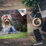 Yorkshire Terrier Wall Calendar 2027 - 12" x 9" 14-Month Dog Breed Calendar