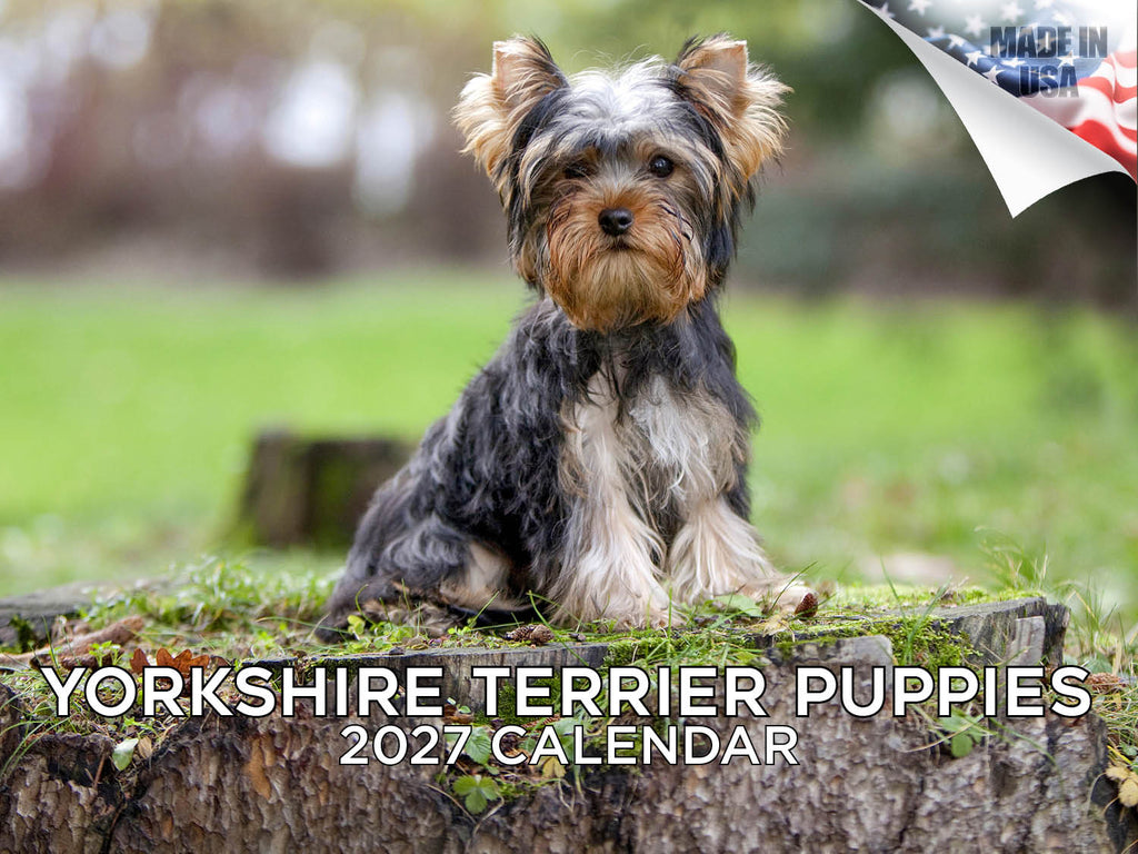 Yorkshire Terrier Puppies Wall Calendar 2027 - 12" x 9" 14-Month Dog Breed Calendar