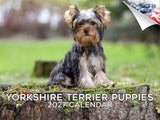 Yorkshire Terrier Puppies Wall Calendar 2027 - 12" x 9" 14-Month Dog Breed Calendar