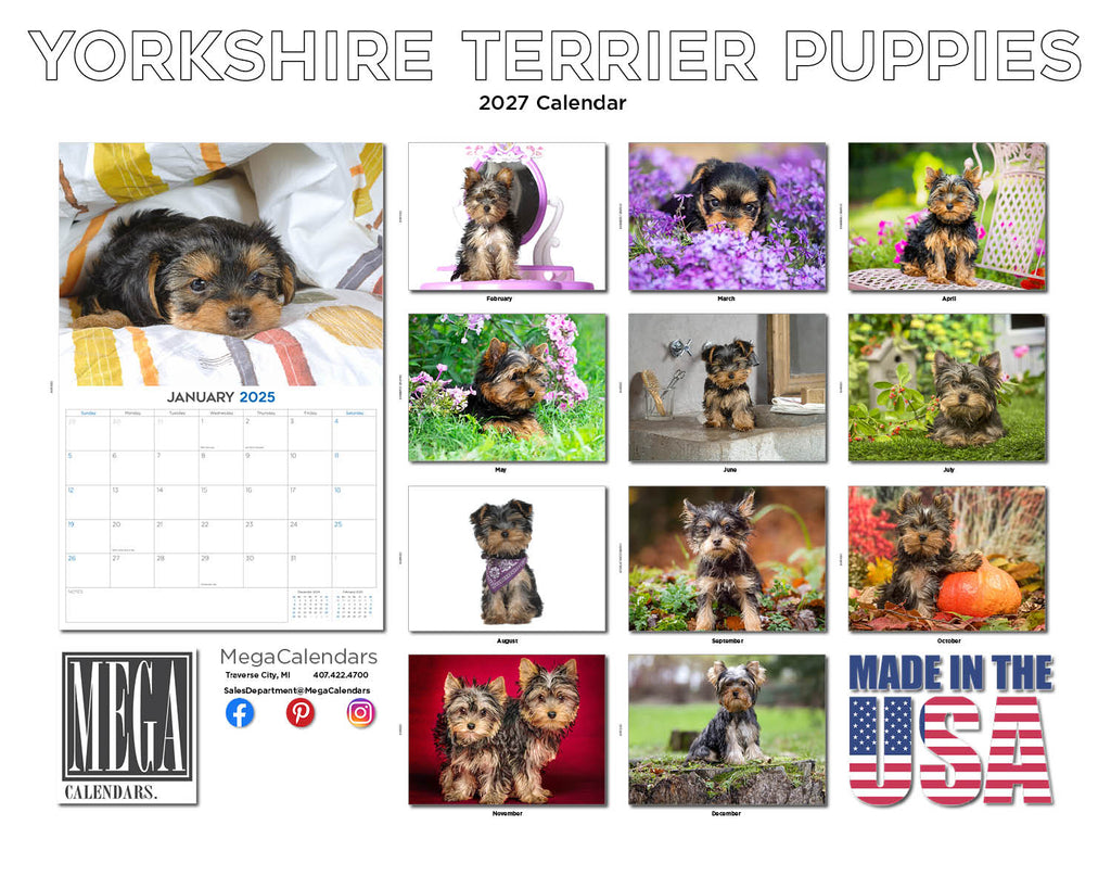 Yorkshire Terrier Puppies Wall Calendar 2027 - 12" x 9" 14-Month Dog Breed Calendar