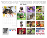 Yorkshire Terrier Puppies Wall Calendar 2027 - 12" x 9" 14-Month Dog Breed Calendar