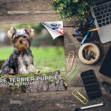 Yorkshire Terrier Puppies Wall Calendar 2027 - 12" x 9" 14-Month Dog Breed Calendar