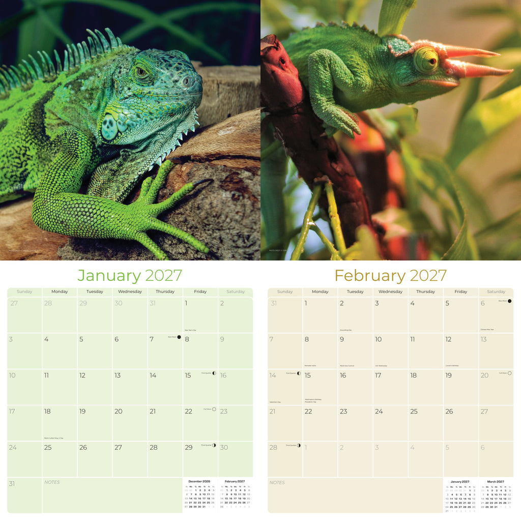 Lizards Wall Calendar 2027 - 12" x 12" Monthly Exotic Reptiles & Colorful Scaled Terrarium Nature Calendar