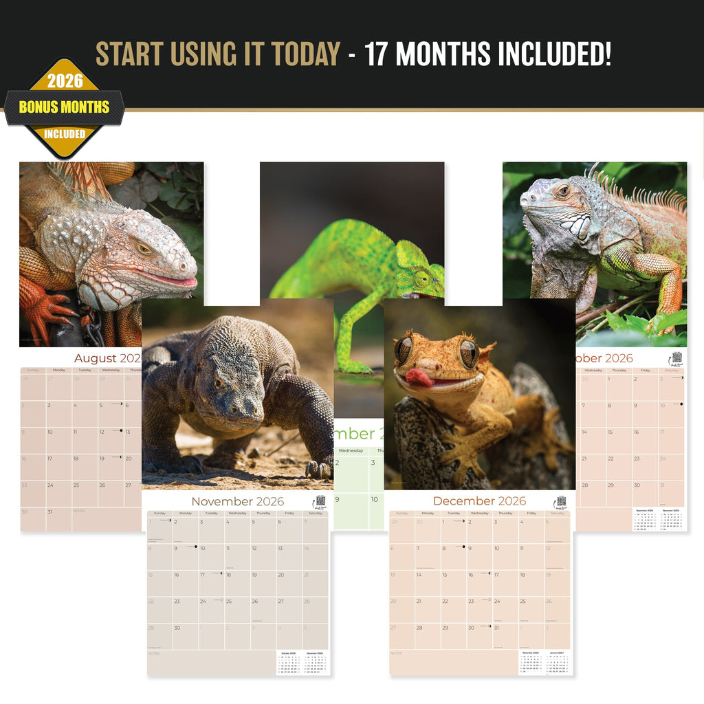 Lizards Wall Calendar 2027 - 12" x 12" Monthly Exotic Reptiles & Colorful Scaled Terrarium Nature Calendar