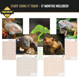 Lizards Wall Calendar 2027 - 12" x 12" Monthly Exotic Reptiles & Colorful Scaled Terrarium Nature Calendar