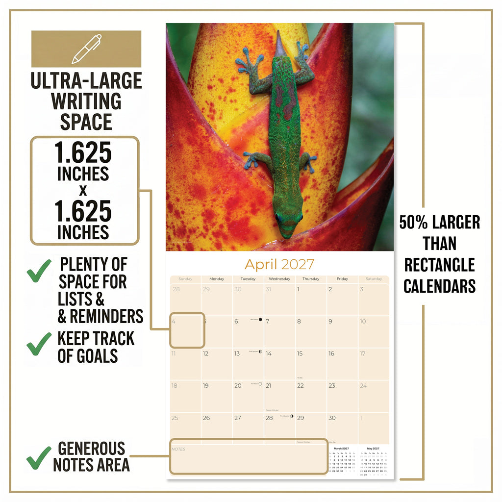 Lizards Wall Calendar 2027 - 12" x 12" Monthly Exotic Reptiles & Colorful Scaled Terrarium Nature Calendar