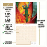 Lizards Wall Calendar 2027 - 12" x 12" Monthly Exotic Reptiles & Colorful Scaled Terrarium Nature Calendar