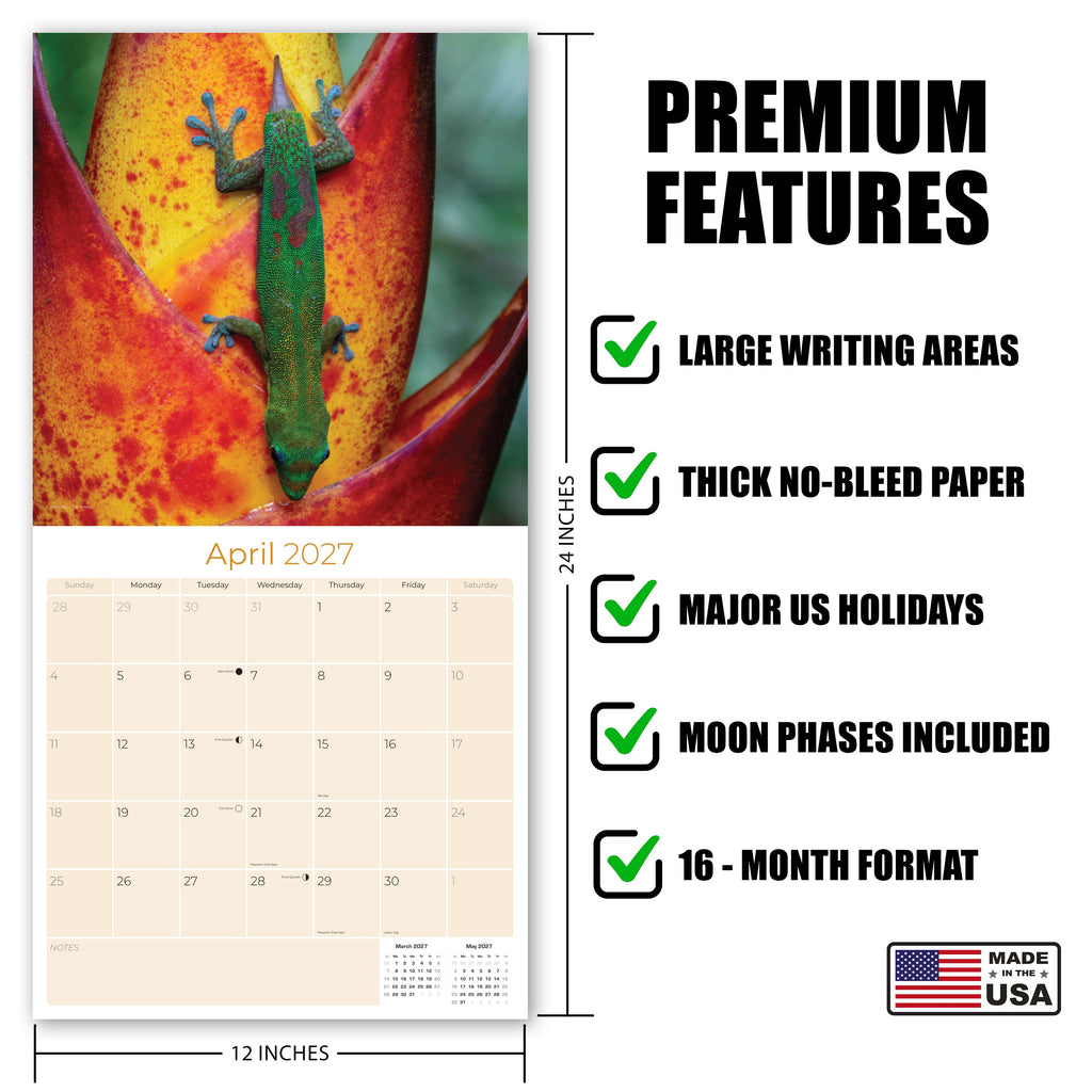 Lizards Wall Calendar 2027 - 12" x 12" Monthly Exotic Reptiles & Colorful Scaled Terrarium Nature Calendar
