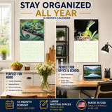 Lizards Wall Calendar 2027 - 12" x 12" Monthly Exotic Reptiles & Colorful Scaled Terrarium Nature Calendar