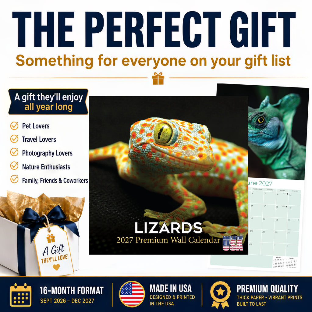 Lizards Wall Calendar 2027 - 12" x 12" Monthly Exotic Reptiles & Colorful Scaled Terrarium Nature Calendar