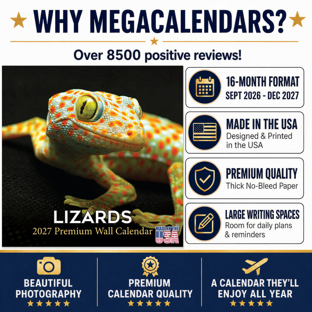 Lizards Wall Calendar 2027 - 12" x 12" Monthly Exotic Reptiles & Colorful Scaled Terrarium Nature Calendar