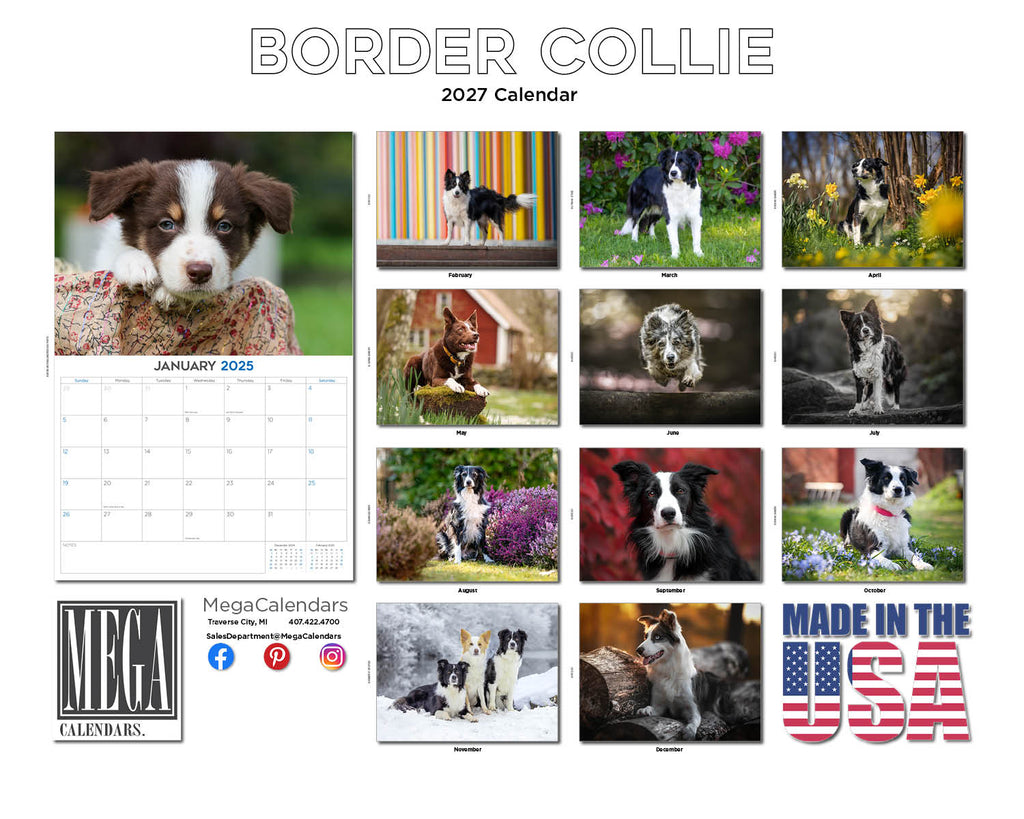 Border Collie Wall Calendar 2027 - 12" x 9" 14-Month Dog Breed Calendar