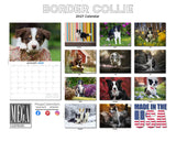 Border Collie Wall Calendar 2027 - 12" x 9" 14-Month Dog Breed Calendar