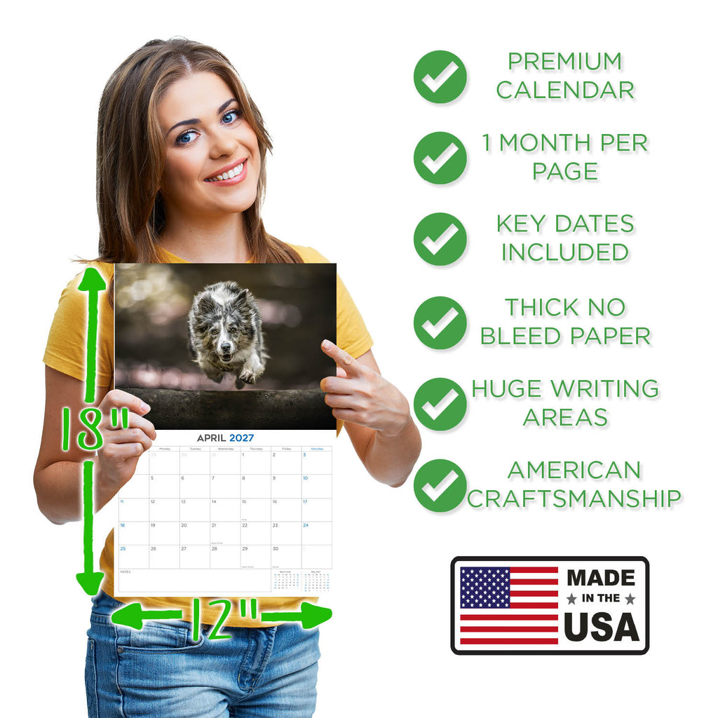 Border Collie Wall Calendar 2027 - 12" x 9" 14-Month Dog Breed Calendar