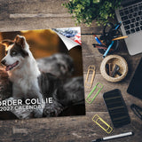 Border Collie Wall Calendar 2027 - 12" x 9" 14-Month Dog Breed Calendar