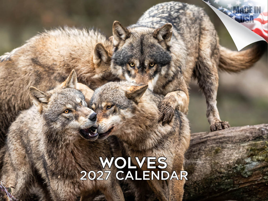 Wolves Wall Calendar 2027 - 12" x 9" 14-Month Wildlife Nature Calendar