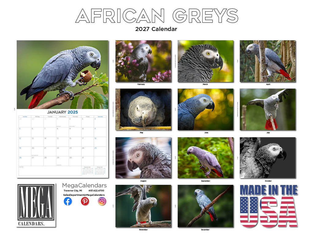 African Grey Parrots Wall Calendar 2027 - 12" x 9" 14-Month Tropical Bird Calendar