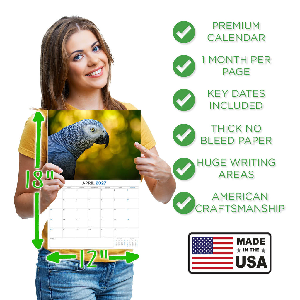 African Grey Parrots Wall Calendar 2027 - 12" x 9" 14-Month Tropical Bird Calendar